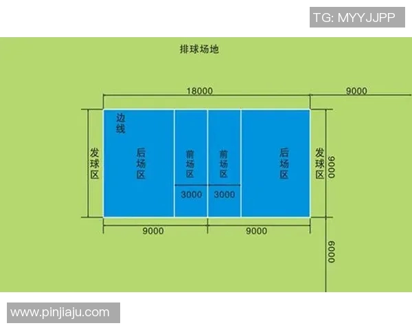 广州排球队灵活性分析与表现评估的深度研究与探讨