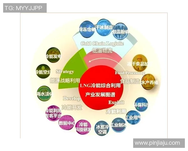 数据分析揭示LNG市场配合表现及其对能源供应链的影响