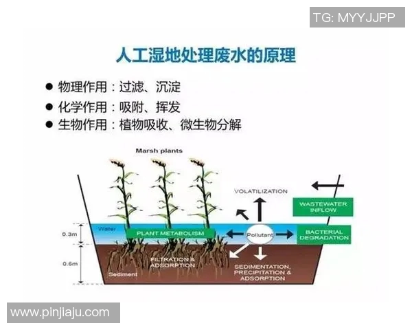 从零起步掌握网球技巧与策略的全面指南与训练方法