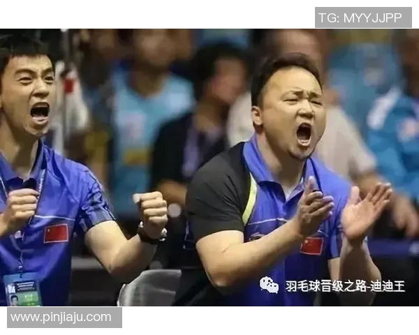 对话杨敏:回顾羽毛球生涯的辉煌与挑战之路 对话杨敏:回顾羽毛球生涯的辉煌与挑战之路