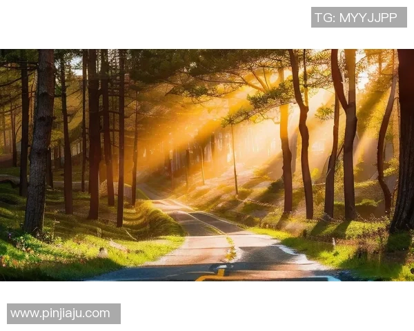 何思雨：在纷繁世界中寻找内心宁静与真实自我的旅程