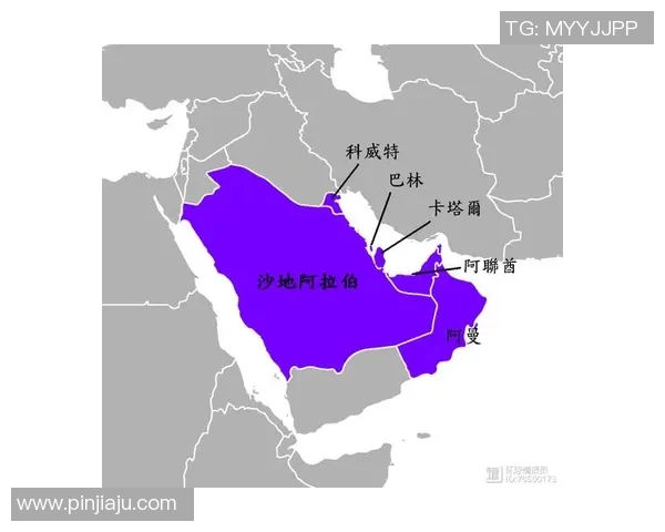 阿联酋与巴林激战正酣比分结果揭晓精彩瞬间回顾